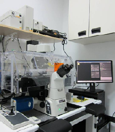 工程生物科學學院-國立陽明交通大學