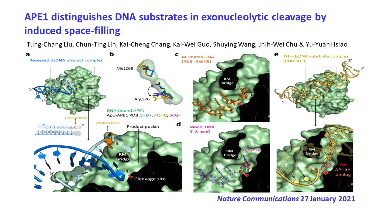 工程生物科學學院-國立陽明交通大學