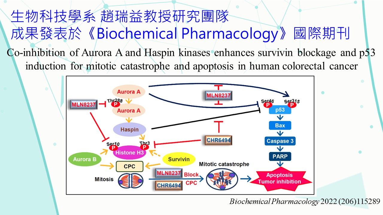 工程生物科學學院-國立陽明交通大學