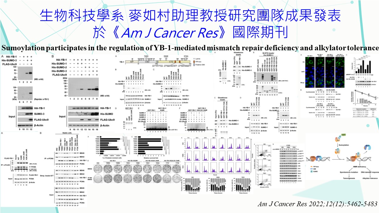 工程生物科學學院-國立陽明交通大學