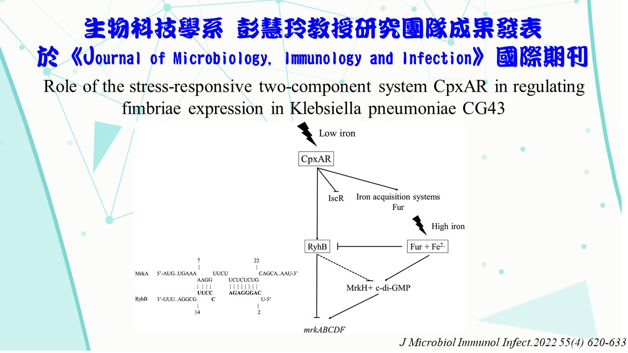 工程生物科學學院-國立陽明交通大學